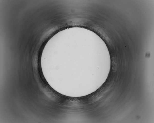 X0000101420631200808041129