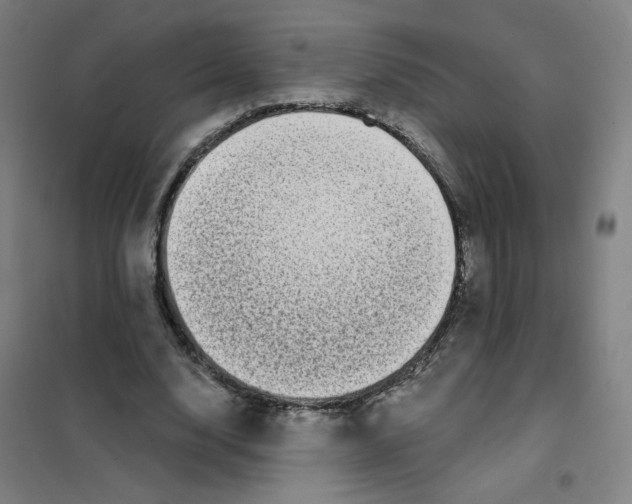 X0000101420632200808041129