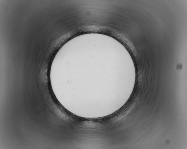 X0000101420633200808041129