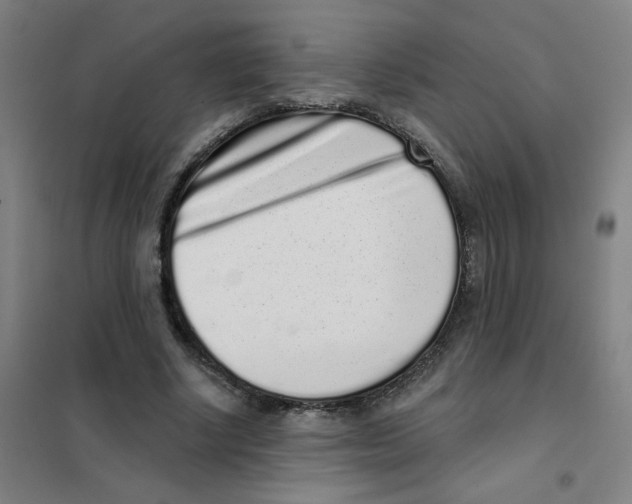 X0000101420634200808041129