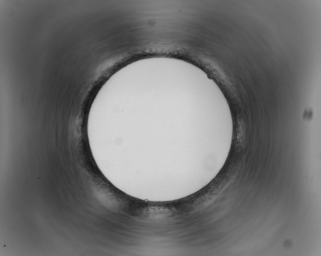 X0000101420636200808041129