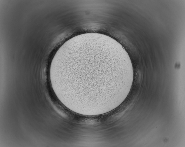 X0000101420638200808041129