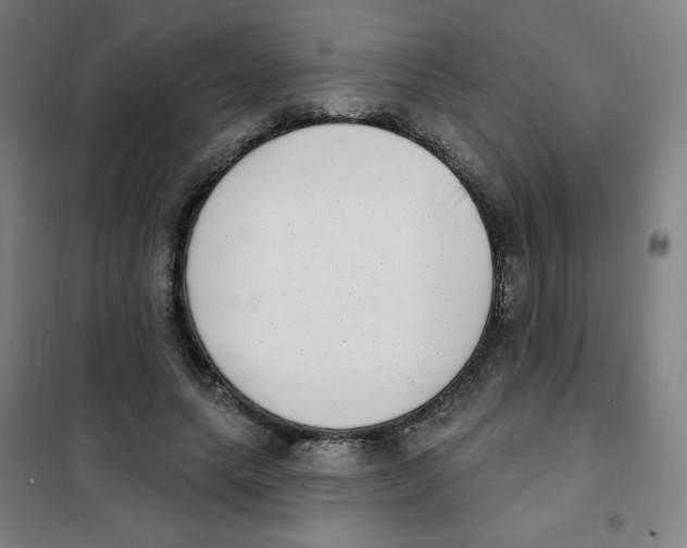 X0000101420639200808041129