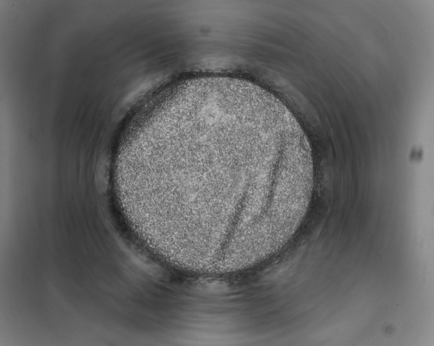 X0000101420640200808041129