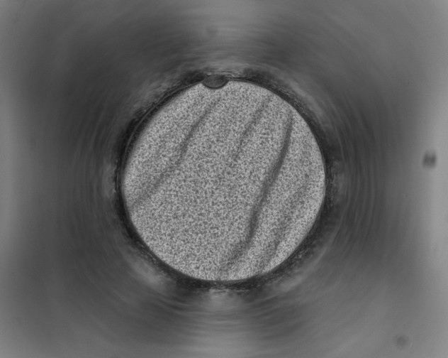 X0000101420641200808041129