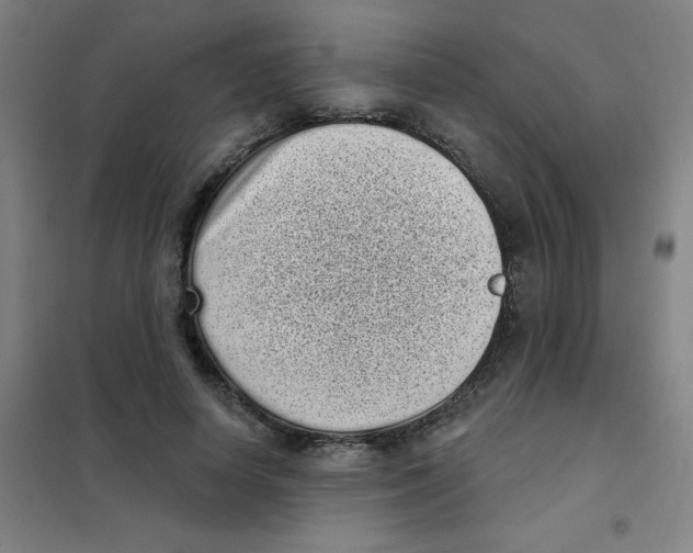 X0000101420642200808041129