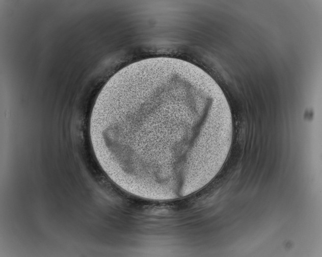 X0000101420643200808041129