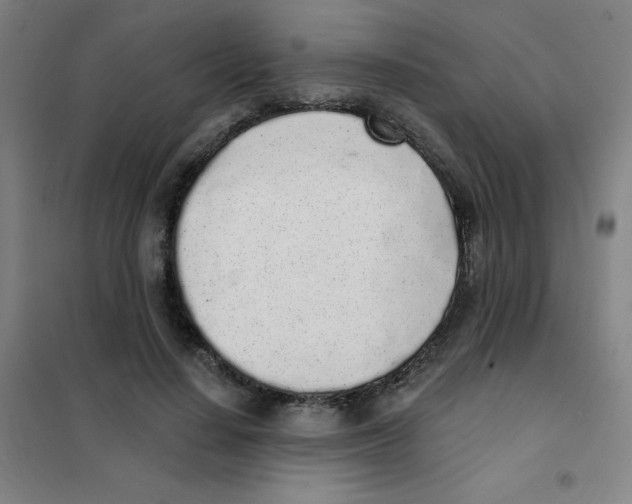 X0000101420644200808041129