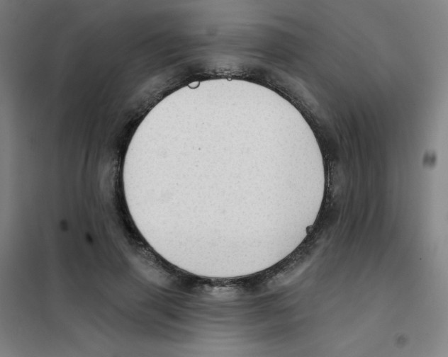 X0000101420645200808041129