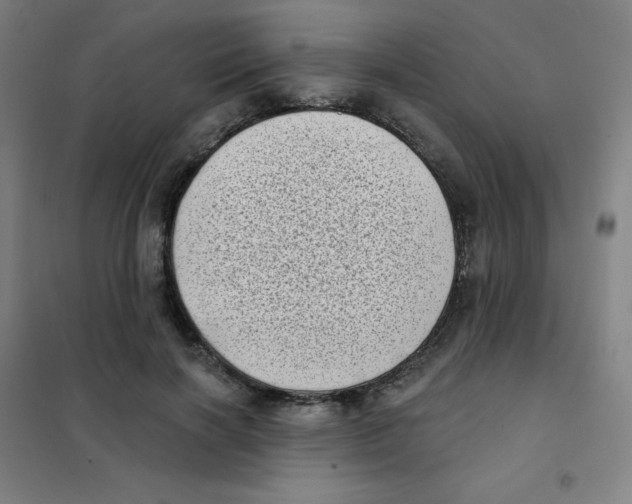 X0000101420646200808041129