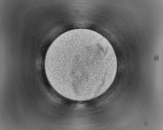 X0000101420647200808041129