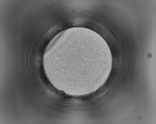 X0000101420648200808041129