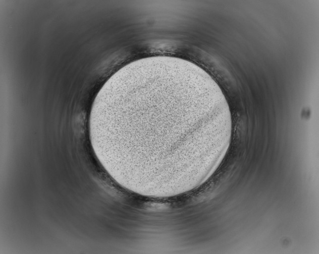 X0000101420649200808041129