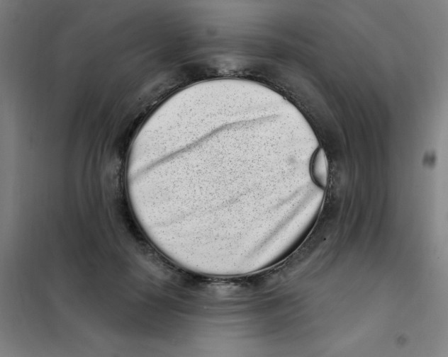 X0000101420650200808041129
