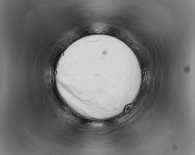 X0000101420651200808041129