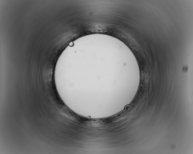 X0000101420652200808041129