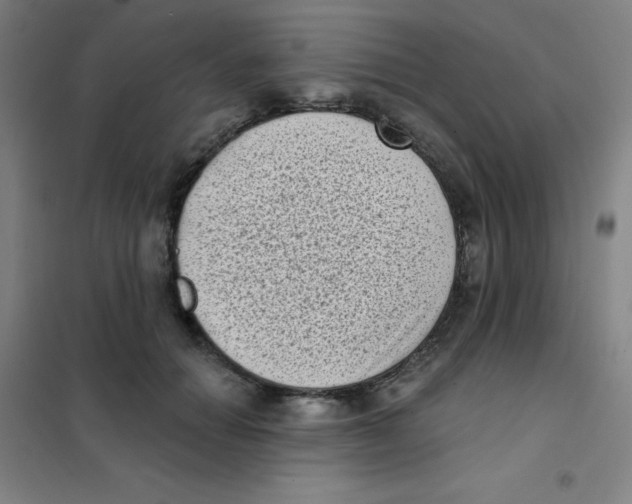 X0000101420654200808041129