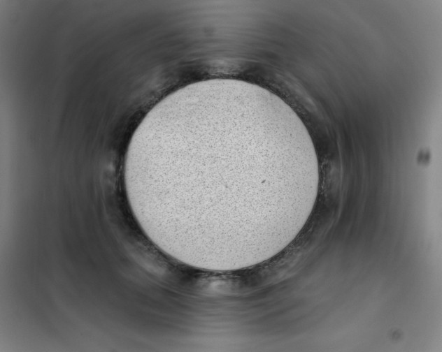 X0000101420655200808041129