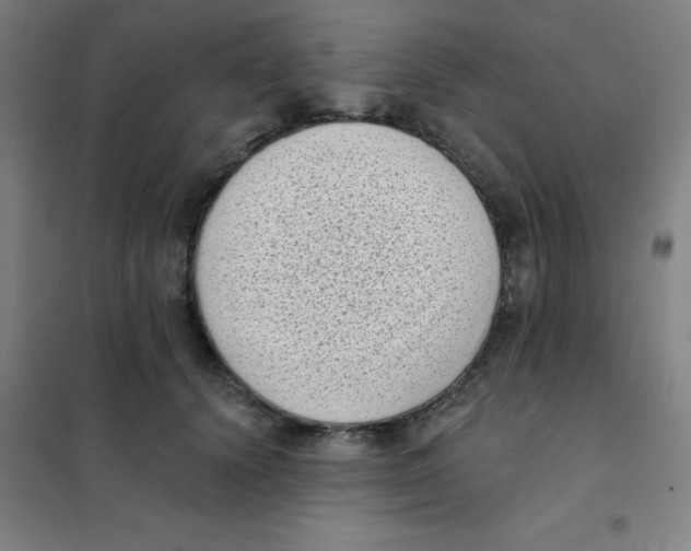 X0000101420656200808041129