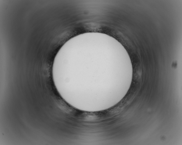 X0000101420658200808041129