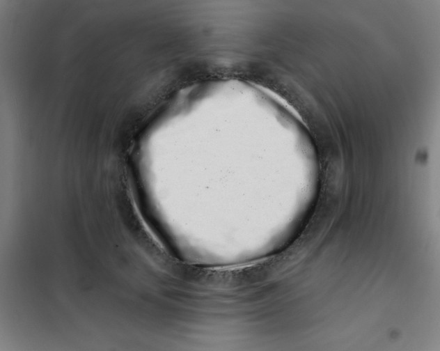 X0000101420659200808041129