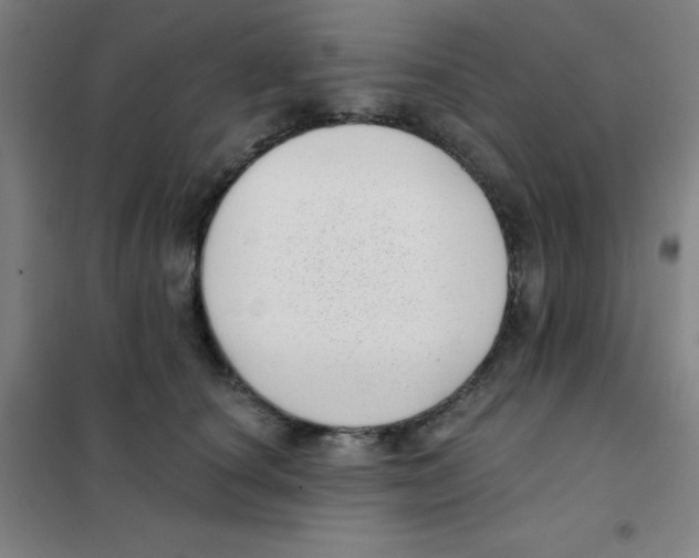 X0000101420660200808041129