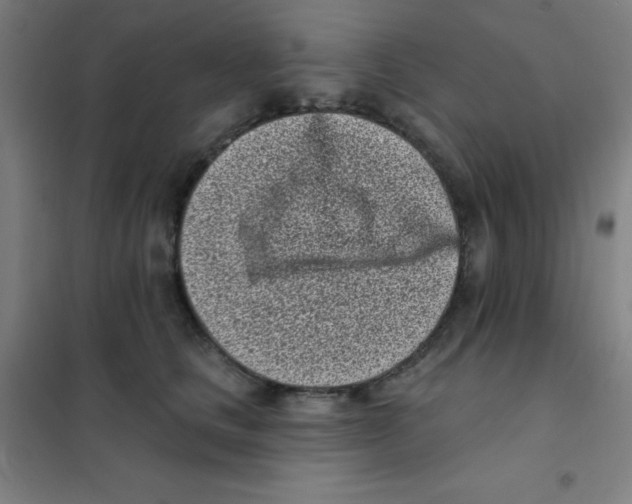 X0000101420661200808041129