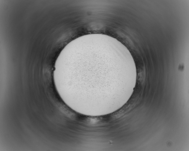 X0000101420662200808041129