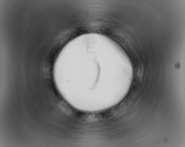 X0000101420663200808041129