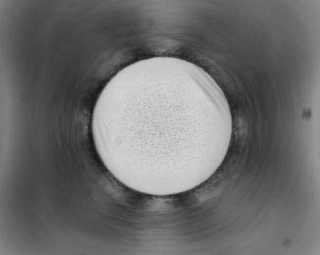 X0000101420664200808041129
