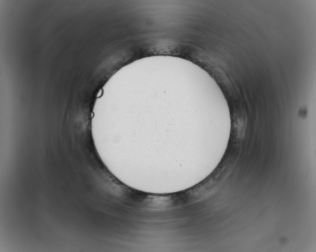 X0000101420665200808041129