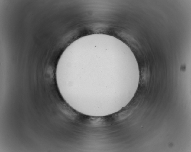 X0000101420667200808041129
