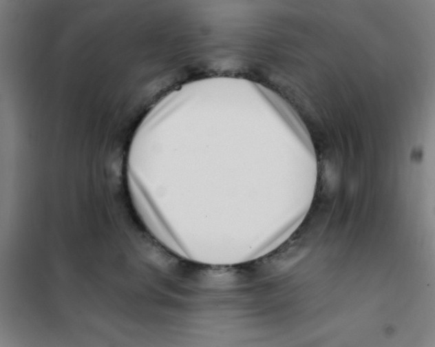 X0000101420668200808041129