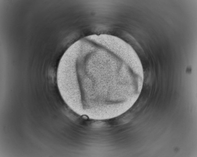 X0000101420669200808041129