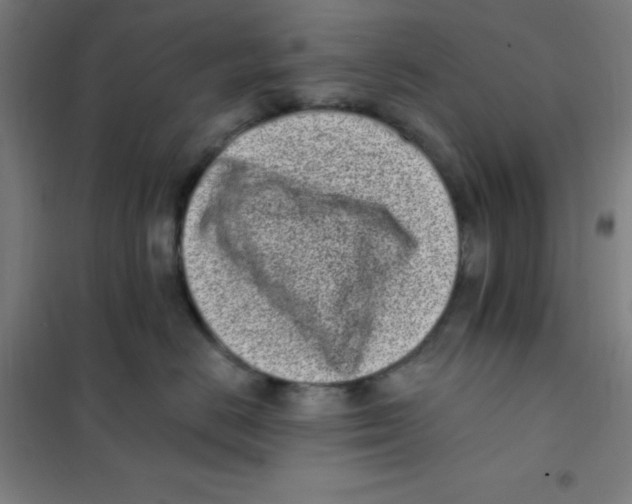 X0000101420670200808041129
