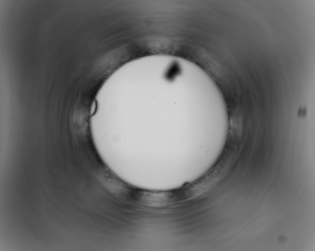 X0000101420671200808041129