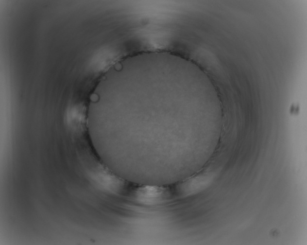 X0000101420672200808041129