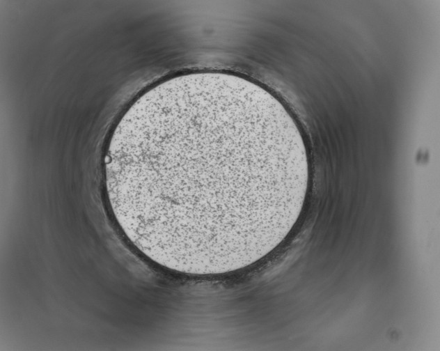 X0000101420673200808041129
