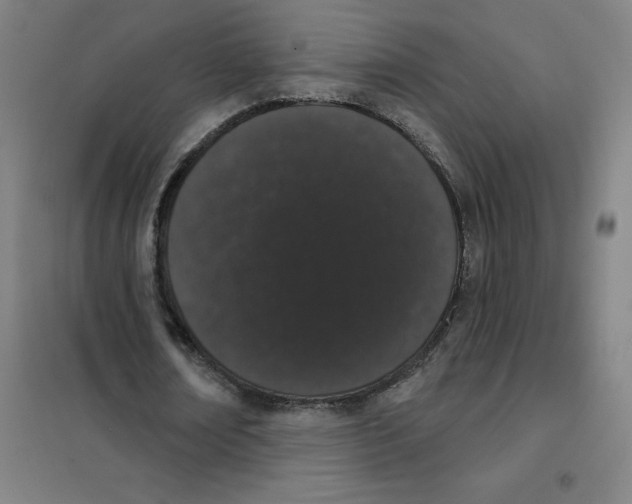 X0000101420674200808041129
