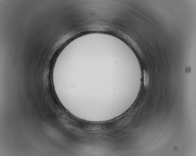 X0000101420675200808041129