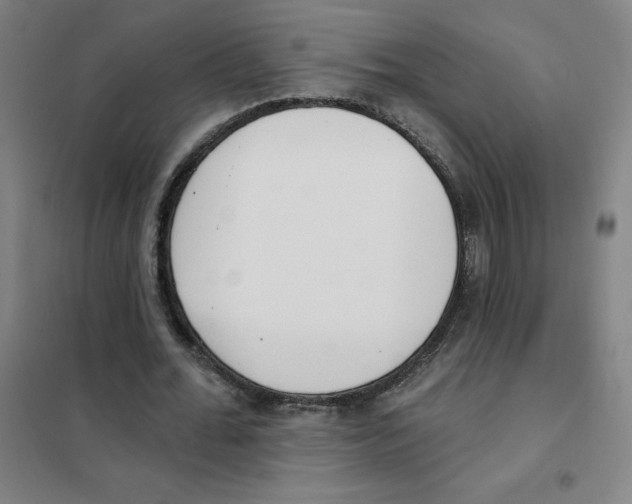 X0000101420676200808041129