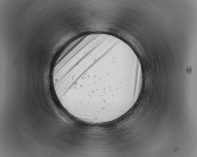 X0000101420677200808041129