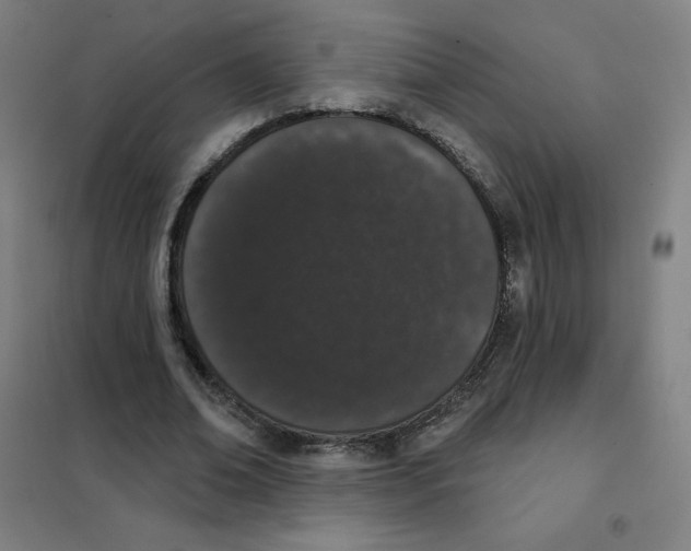 X0000101420678200808041129