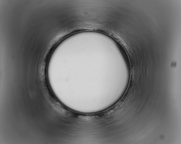 X0000101420679200808041129