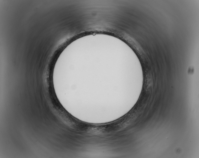 X0000101420680200808041129