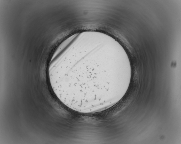 X0000101420681200808041129