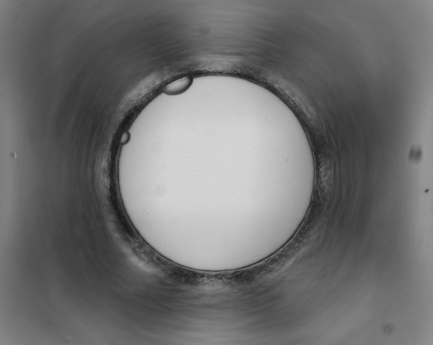 X0000101420682200808041128