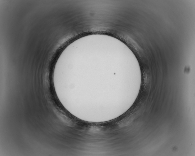 X0000101420684200808041128