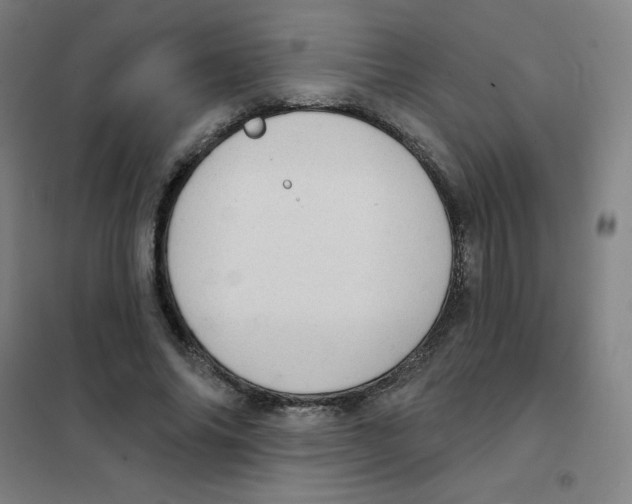 X0000101420686200808041128