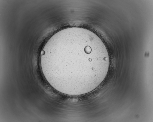X0000101420687200808041128